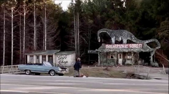 Prehistoric Forest - Old Candid Photo (newer photo)